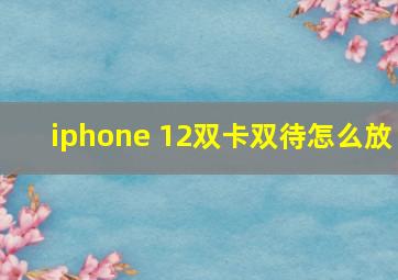 iphone 12双卡双待怎么放